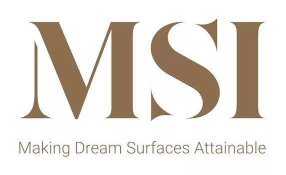 MSI Surfaces